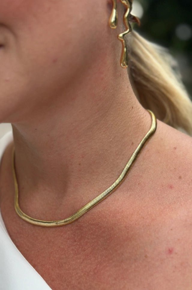 Colar Snake 40 cm - Yarin Semijoias